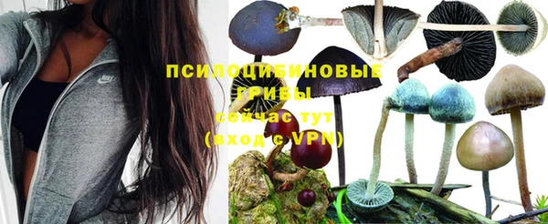 дистиллят марихуана Осинники