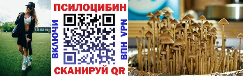 Галлюциногенные грибы Cubensis  Таштагол 